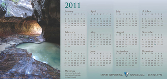 Expert Support 2011 Calendar
