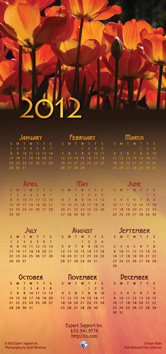 Expert Support 2012 Calendar