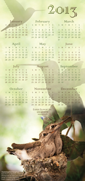Expert Support 2013 Calendar